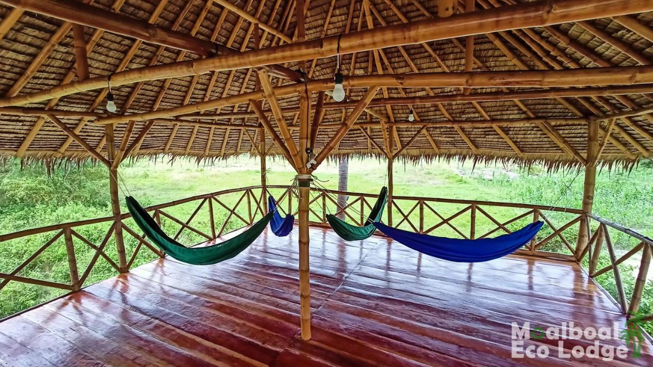 Moalboal Eco Lodge Exterior photo