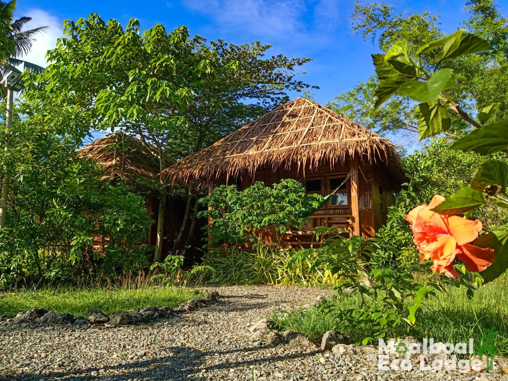 Moalboal Eco Lodge Exterior photo