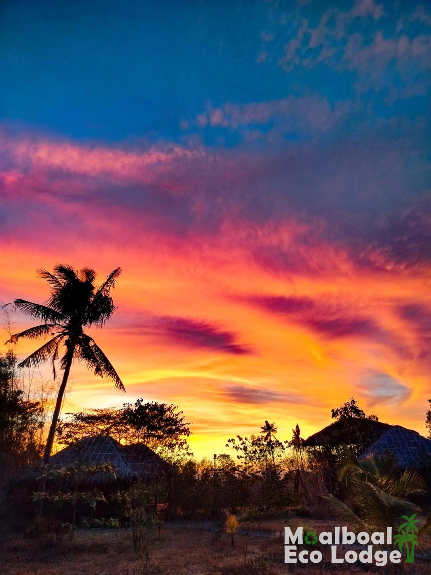 Moalboal Eco Lodge Exterior photo