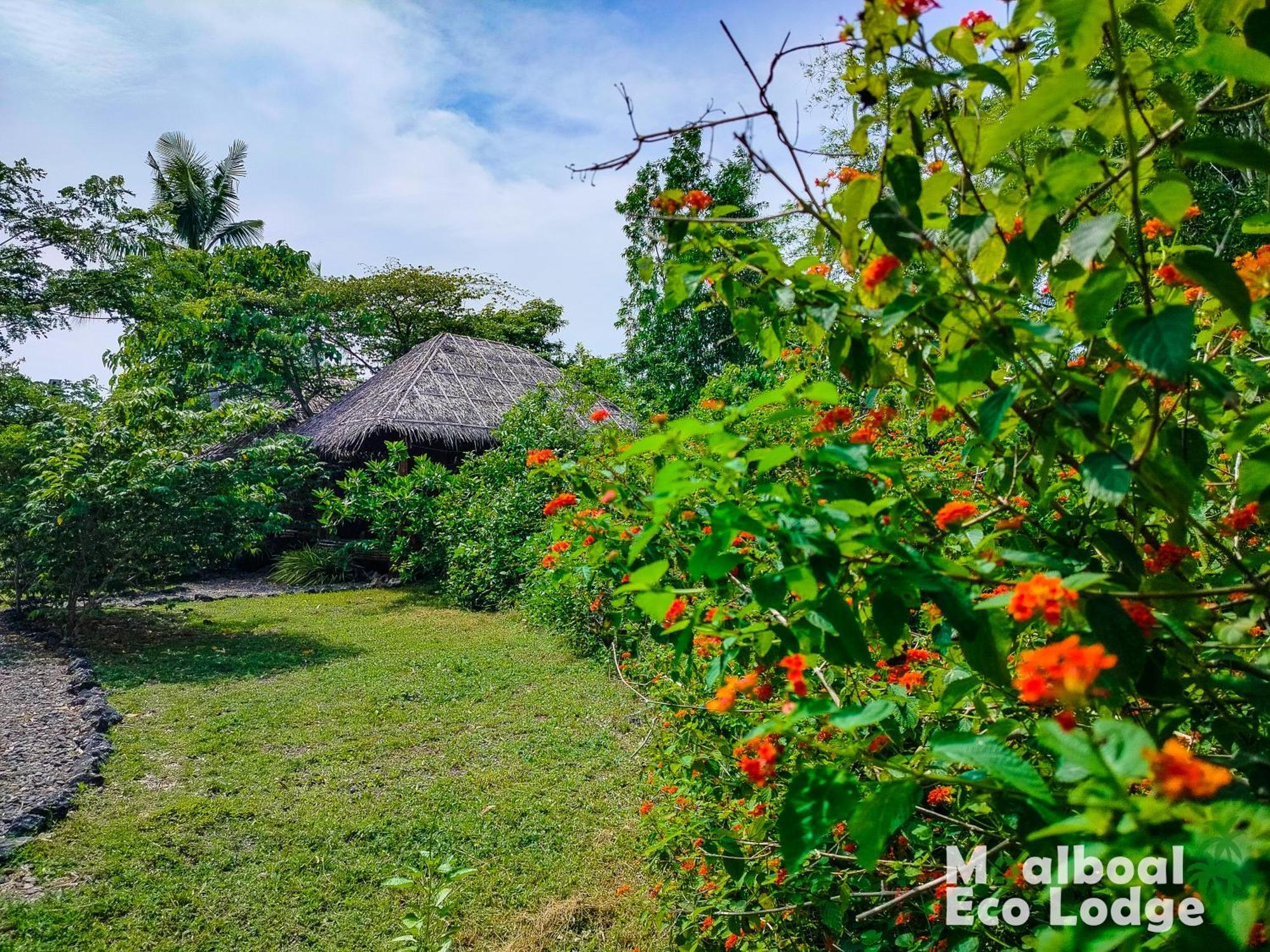 Moalboal Eco Lodge Exterior photo