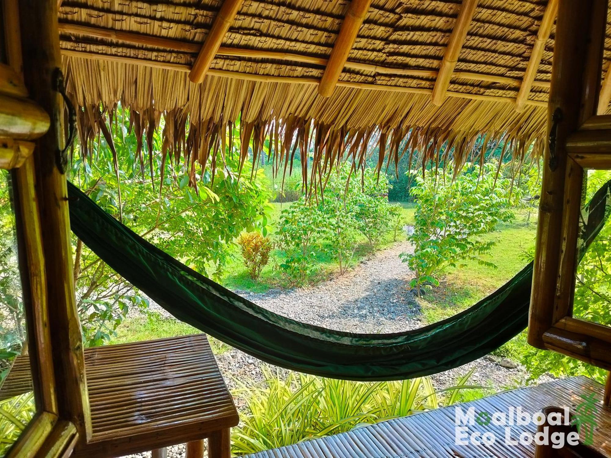 Moalboal Eco Lodge Exterior photo