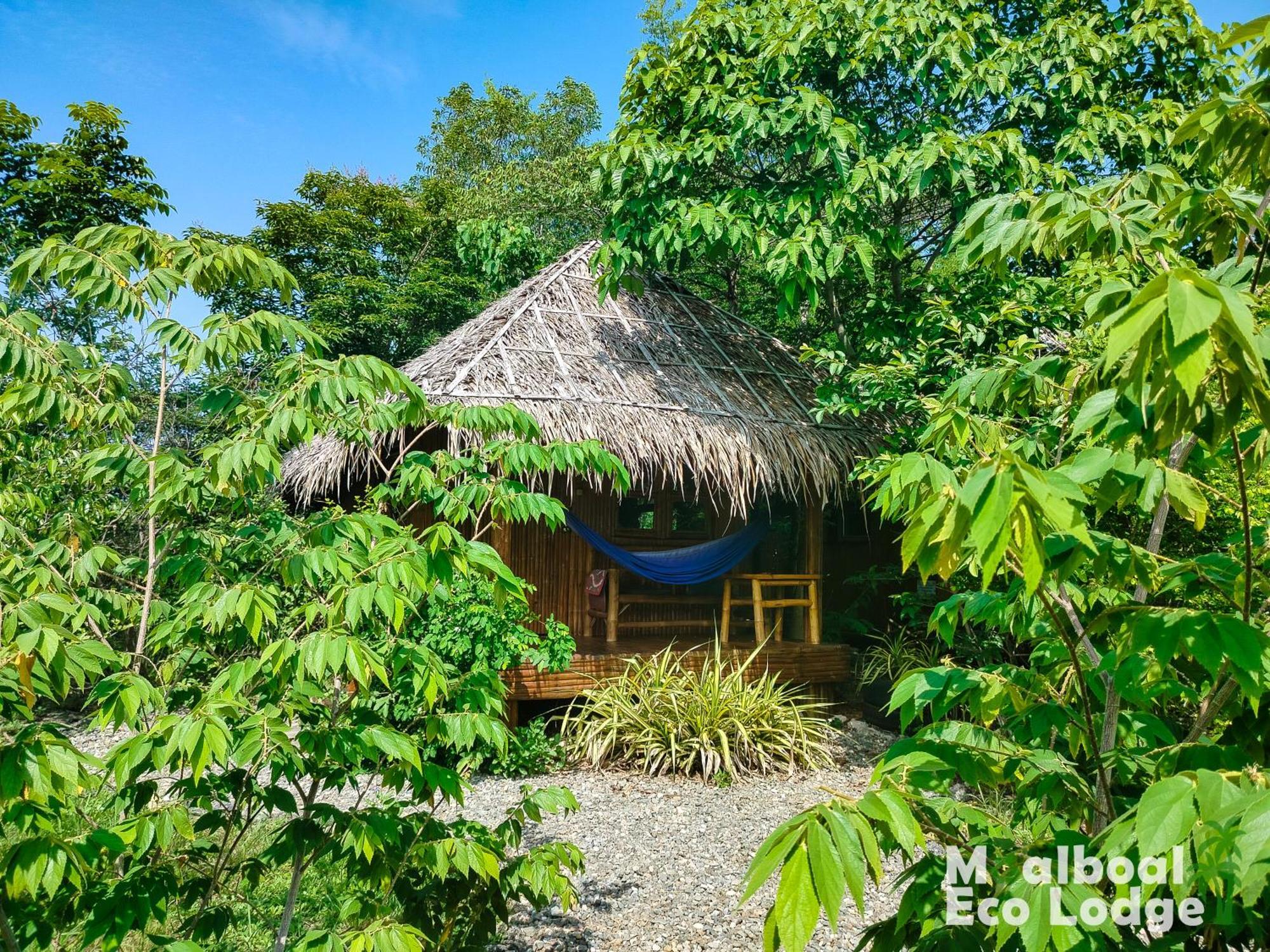 Moalboal Eco Lodge Exterior photo