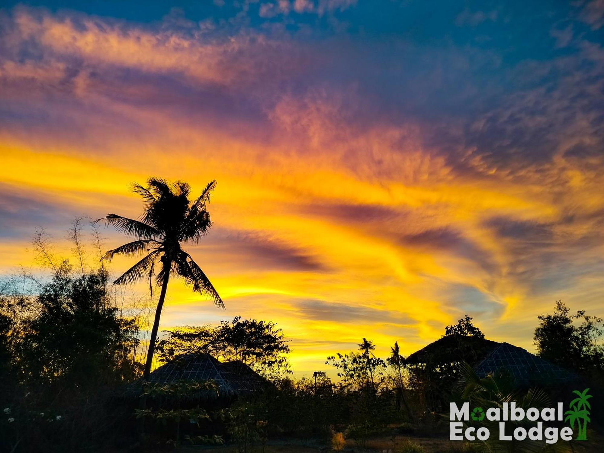 Moalboal Eco Lodge Exterior photo